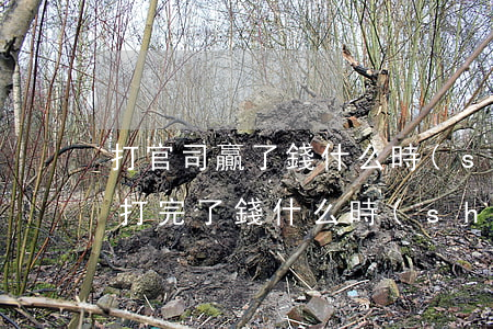 打官司贏了錢什么時(shí)候到賬(官司打完了錢什么時(shí)候到賬)