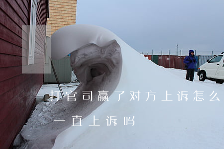 打官司赢了对方上诉怎么办(打官司输了可以一直上诉吗)