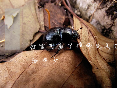 打官司赢了律师费用谁出(打官司输了律师费给多少)