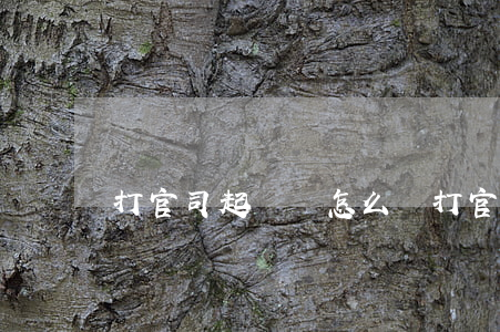 打官司起訴狀怎么寫(打官司起訴書怎么寫)