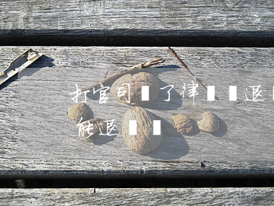 打官司輸了律師費退嗎(交了律師費官司沒打能退費嗎)