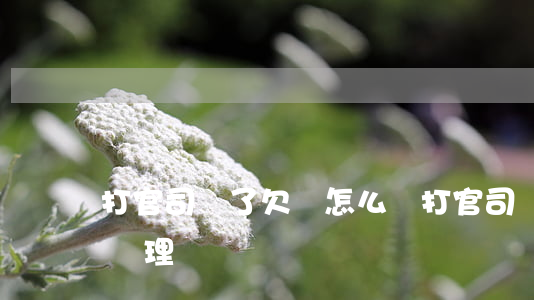 打官司輸了欠錢怎么辦 打官司輸了欠錢怎么辦理