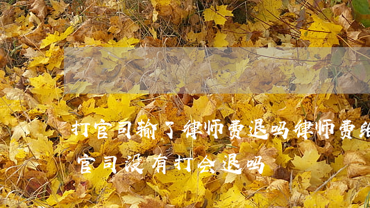 打官司输了律师费退吗(律师费给了签了合同,官司没有打会退吗?)