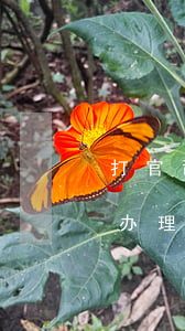 打官司输了欠钱怎么办 打官司输了欠钱怎么办理