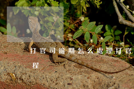 打官司逾期怎么處理(打官司逾期怎么處理流程)