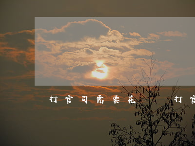 打官司需要花錢嗎(打官司要錢嗎?)