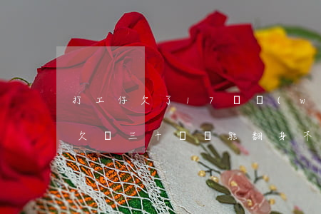 打工仔欠了17萬網(wǎng)貸(打工仔欠債三十萬還能翻身不)
