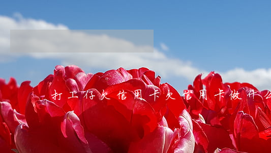 打工仔欠信用卡(欠信用卡,做什么工作工資高)