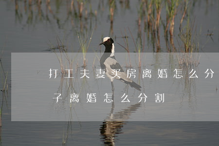 打工夫妻买房离婚怎么分(夫妻结婚后买的房子离婚怎么分割)