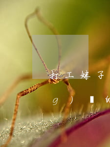 打工妹子欠網(wǎng)貸(欠網(wǎng)貸的女生)