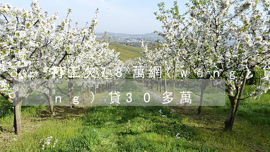 打工欠78萬網(wǎng)貸(欠網(wǎng)貸30多萬)