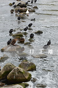 打工離婚還欠錢(qián)怎么辦