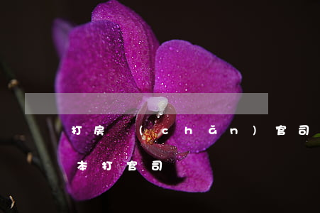 打房產(chǎn)官司有效期（逾期辦理房本打官司）