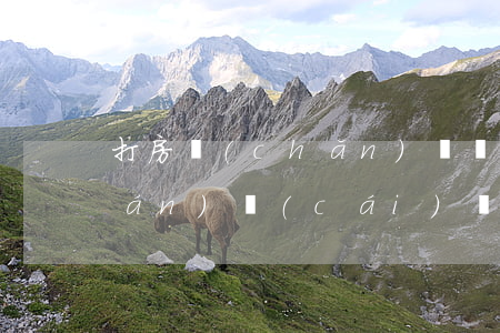 打房產(chǎn)詐騙案需多少錢(qián)(財(cái)產(chǎn)被騙多少錢(qián)可以立案)