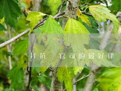 打抗訴官司的最好律師(北京抗訴律師)