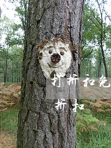 打折和免息分期哪個好(免息分期相當于什么折扣)