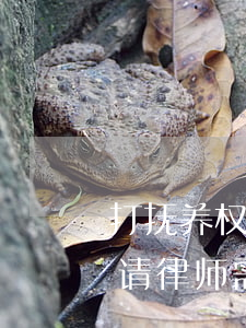 打抚养权官司律师费要多少(打官司要抚养费请律师需要多少钱)