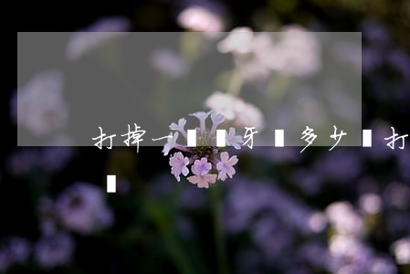 打掉一顆門牙賠多少錢(打掉兩顆門牙賠多少錢)