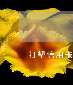 打擊信用卡逾期 老賴(打擊信用卡逾期 老賴)