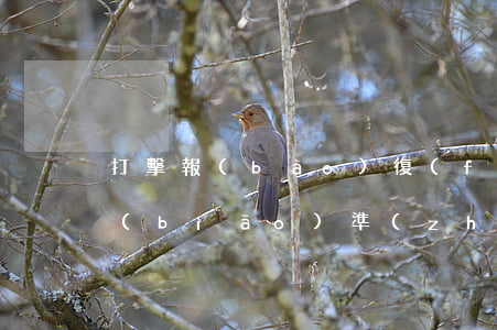 打擊報(bào)復(fù)證人罪立案標(biāo)準(zhǔn)_2021打擊報(bào)復(fù)證人罪量刑標(biāo)準(zhǔn)和認(rèn)定構(gòu)成要件