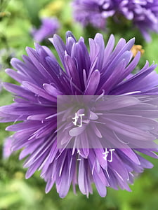 打擊報復(fù)證人罪立案標準_2021打擊報復(fù)證人罪量刑標準和認定構(gòu)成要件