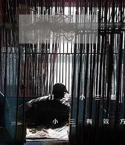 打擊小三最有效的方法(怎樣對(duì)付小三有效方法)