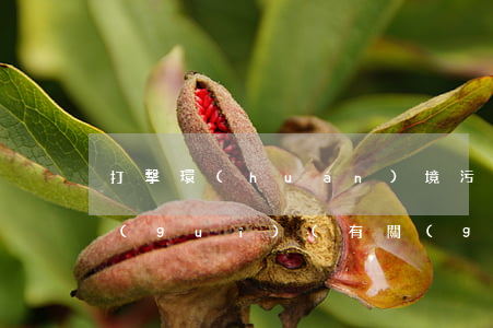 打擊環(huán)境污染方面的法律法規(guī)(有關(guān)環(huán)境保護的法律,法規(guī))