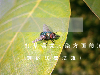 打擊環境污染方面的法律法規(有關環境保護的法律,法規)
