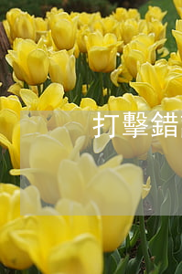 打擊錯誤及其刑事責(zé)任