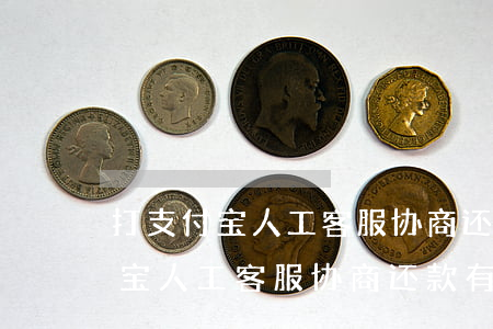 打支付宝人工客服协商还款有用吗-打支付宝人工客服协商还款有用吗安全吗
