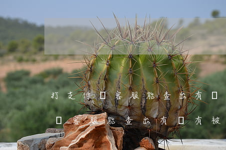 打支付寶客服能查出有沒有被起訴-打支付寶客服能查出有沒有被起訴了嗎
