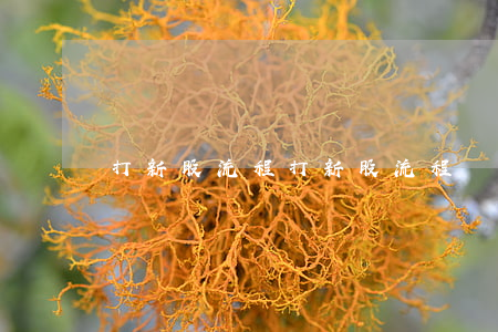 打新股流程(打新股流程)
