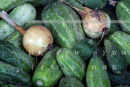 打析產(chǎn)官司大約要多少錢(析產(chǎn)官司怎樣可以得到房子)