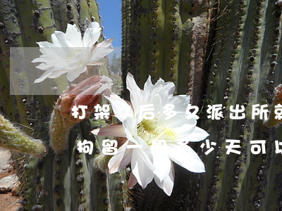 打架以后多久派出所就不能拘留啦(打架治安拘留一般多少天可以放出來)