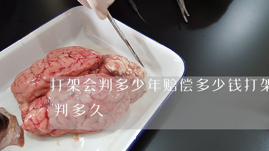 打架会判多少年赔偿多少钱(打架严重的要被判多久)