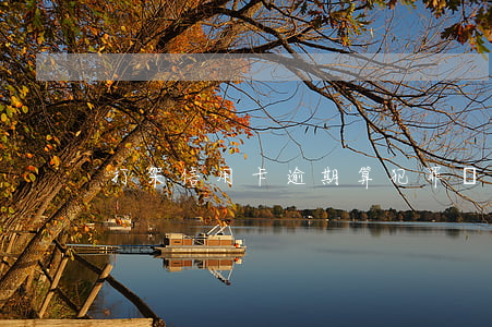 打架信用卡逾期算犯罪嗎(欠信用卡算犯罪嗎)