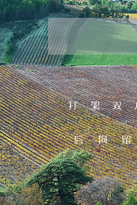 打架双方和解了拘留多少天(打架和解赔偿以后拘留10天可以出来了吗)