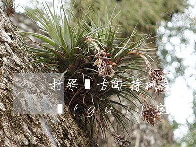 打架單方面持械怎么判(持械打架斗毆的處罰規(guī)定)