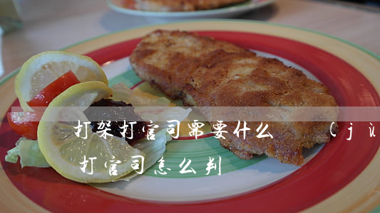打架打官司需要什么證據(jù)(雙方打架打官司,怎么判決)