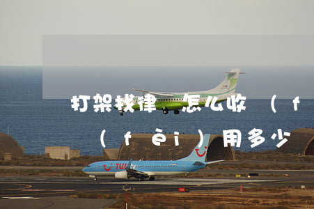 打架找律師怎么收費(fèi)(打架請律師費(fèi)用多少錢)