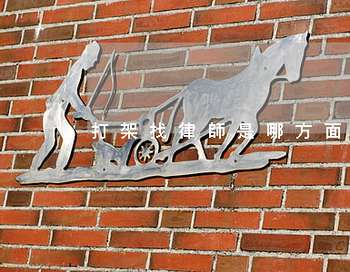 打架找律師是哪方面的律師