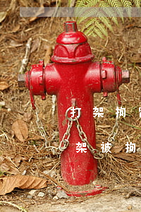 打架拘留24小時內(nèi)可以保釋(打架被拘留十五天可以保釋嗎)