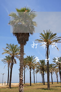 打架拘留一般是多少天(夫妻打架拘留一般是多少天)