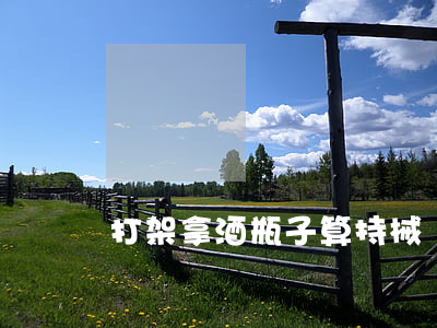 打架拿酒瓶子算持械嗎(啤酒瓶打人算持械嗎)