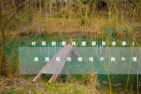 打架故意伤害致死逃逸14年后赔偿多少(逃逸致死没赔偿才判5年)