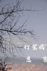 打架故意傷害致死逃逸14年后賠償多少(故意傷害逃逸判幾年)