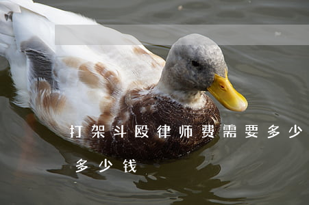 打架斗殴律师费需要多少钱(聚众斗殴律师费多少钱)