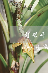 打架斗毆打官司費(fèi)用(打架打官司一般需要多少錢)