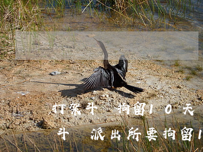 打架斗毆拘留10天嚴(yán)重嗎(打架斗毆派出所要拘留10天不去會(huì)怎么樣?)