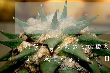 打架斗毆立案后可以撤案嗎(打架斗毆達(dá)成協(xié)議怎么撤案)